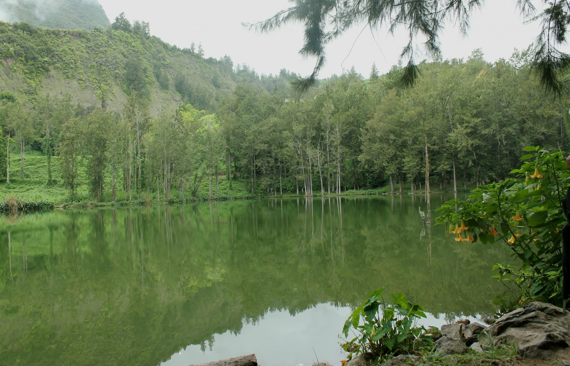 Wallpapers Nature Lakes - Ponds Mare  Poule d'Eau - Salazie