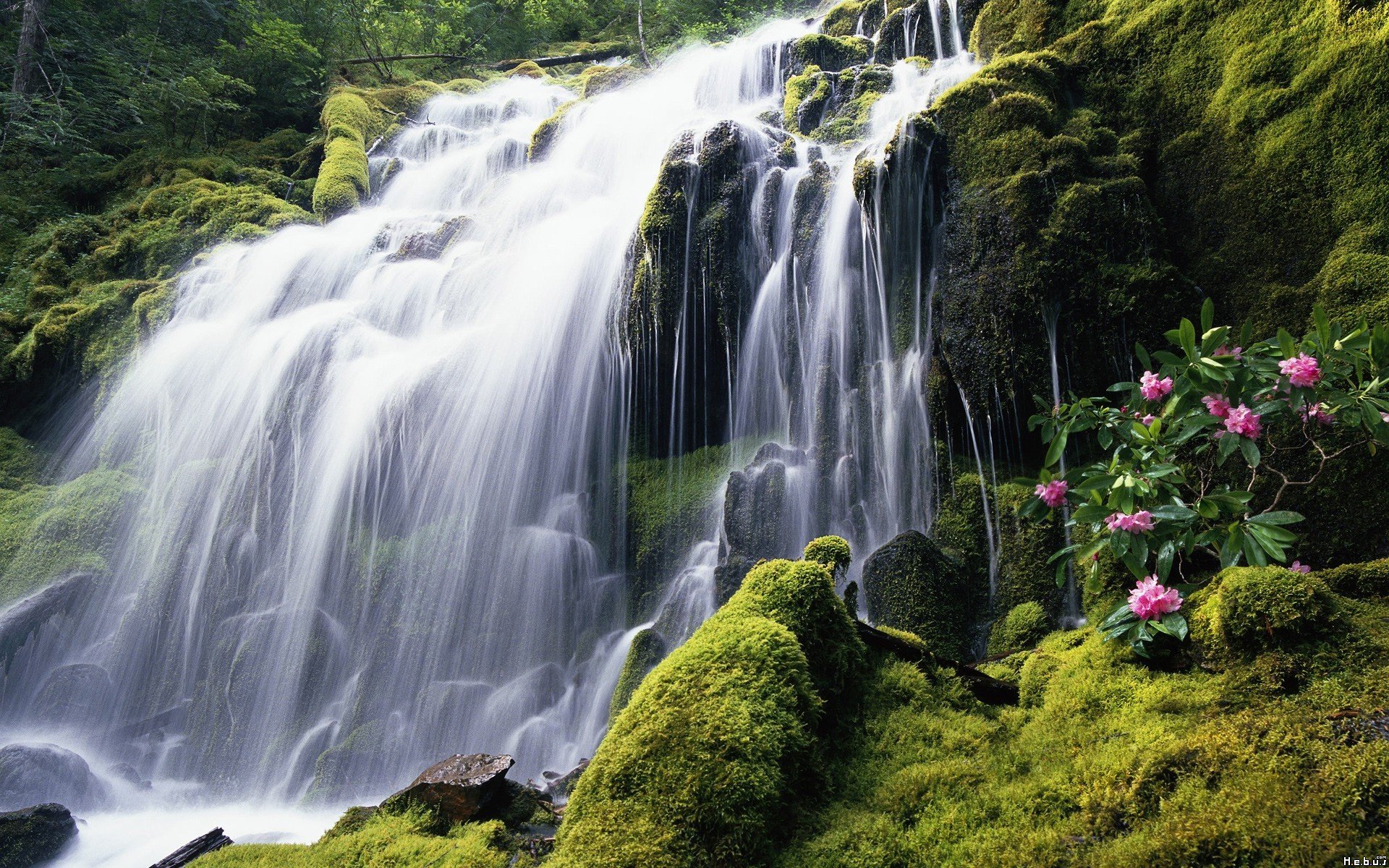 Fonds d'cran Nature Cascades - Chutes 