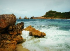  Nature pointe des chateaux-gwada