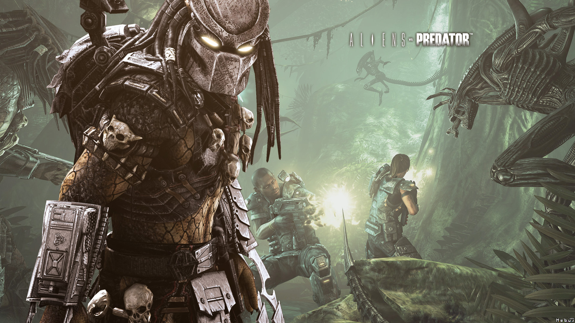 Wallpapers Video Games Aliens Vs Predator 