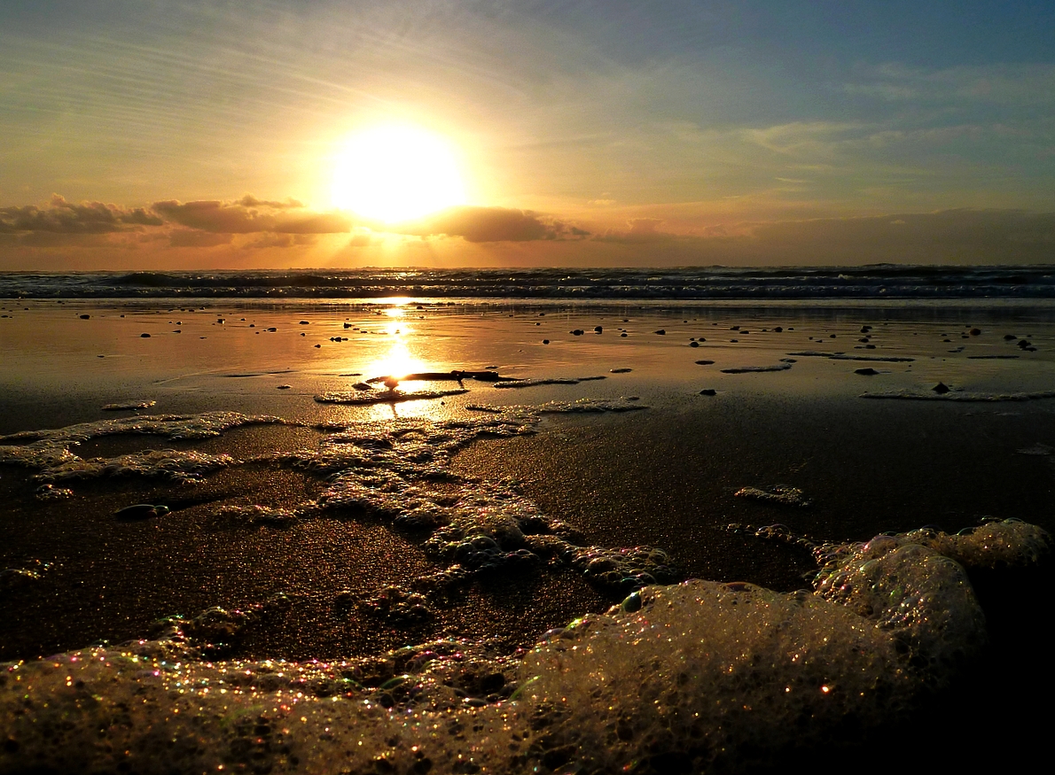 Fonds d'cran Nature Mers - Ocans - Plages Calme plat