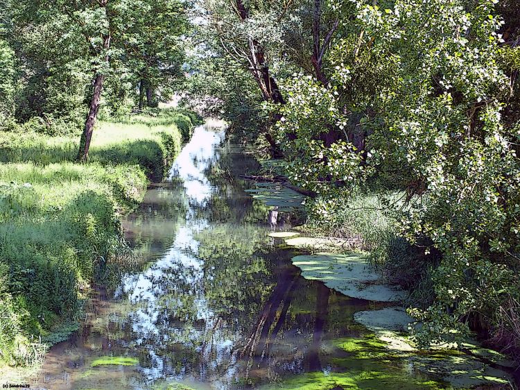 Fonds d'cran Nature Fleuves - Rivires - Torrents L'Yvre (Cher)