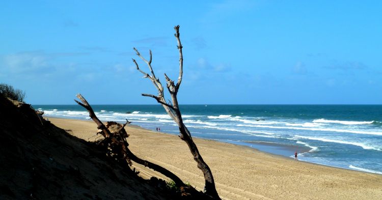 Fonds d'cran Nature Mers - Ocans - Plages Footing