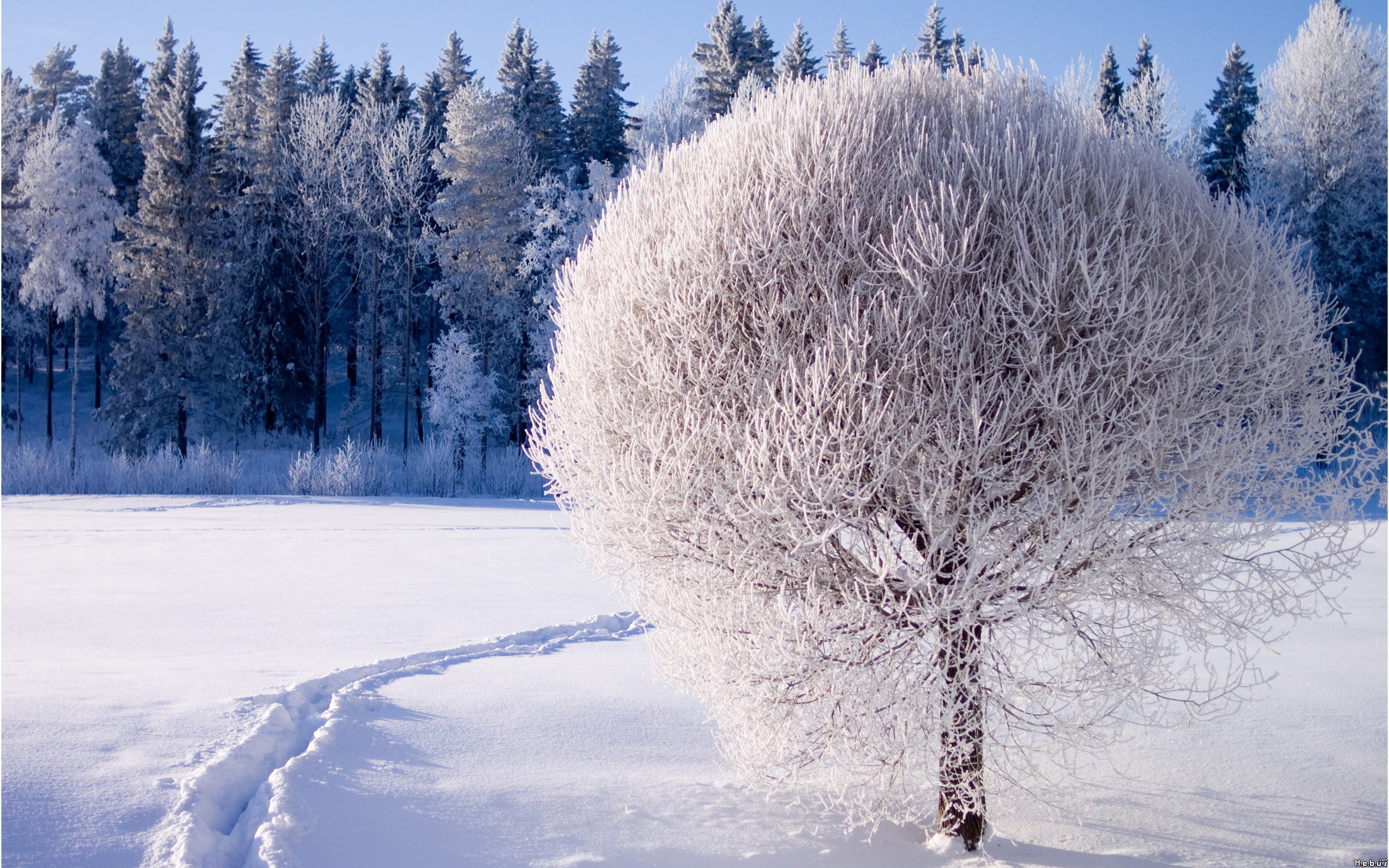 Fonds d'cran Nature Saisons - Hiver 