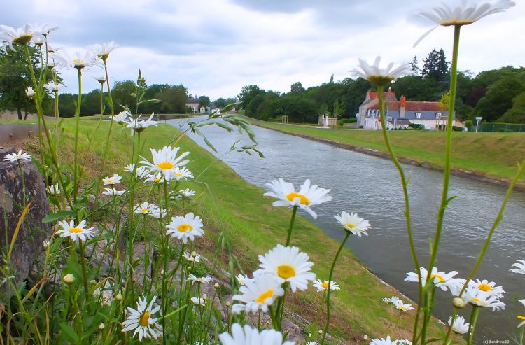 Wallpapers Nature Canals Canal latral  la Loire