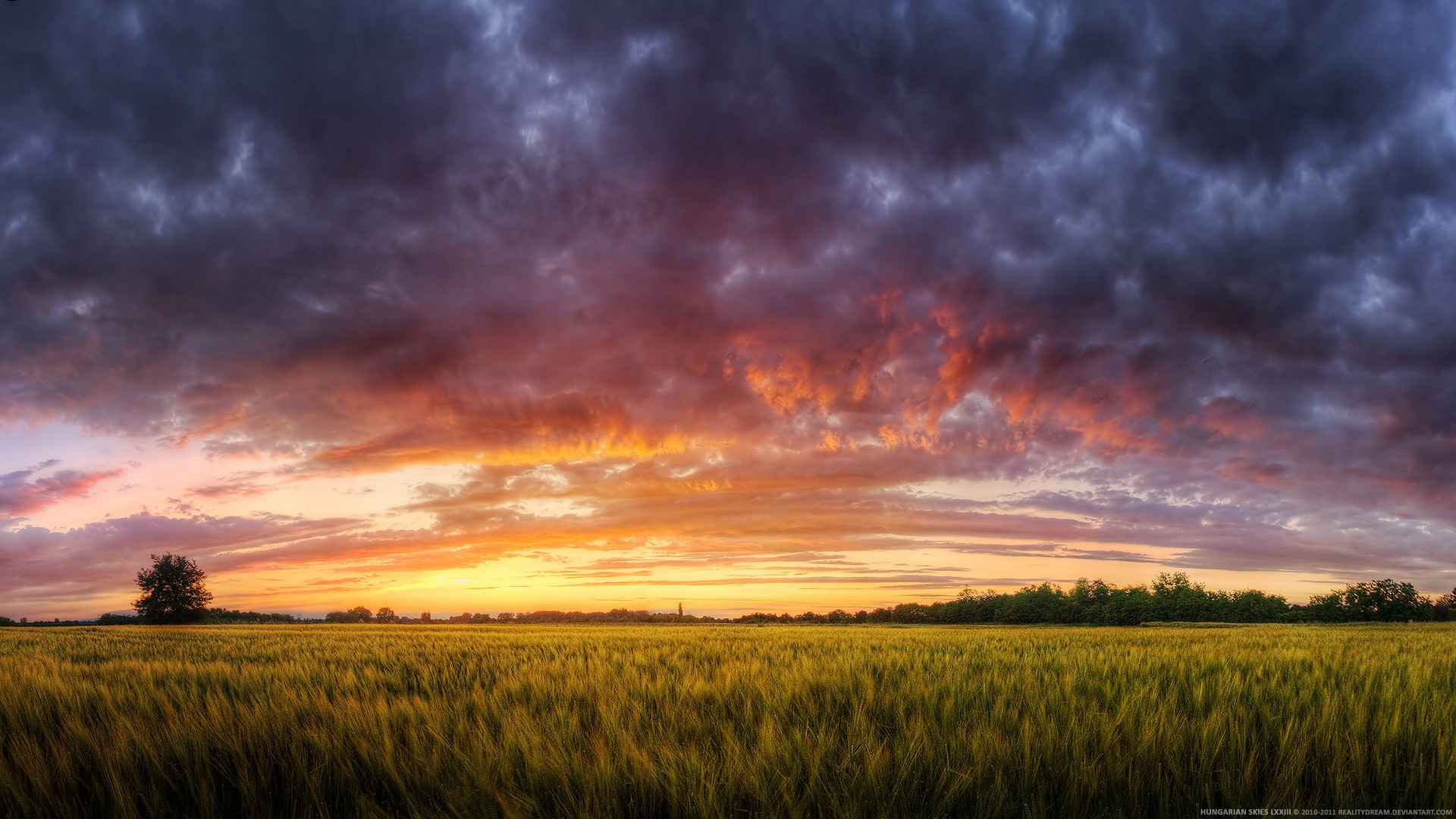 Fonds d'cran Nature Champs - Prairies 