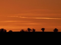  Nature Couch de soleil en Auvergne