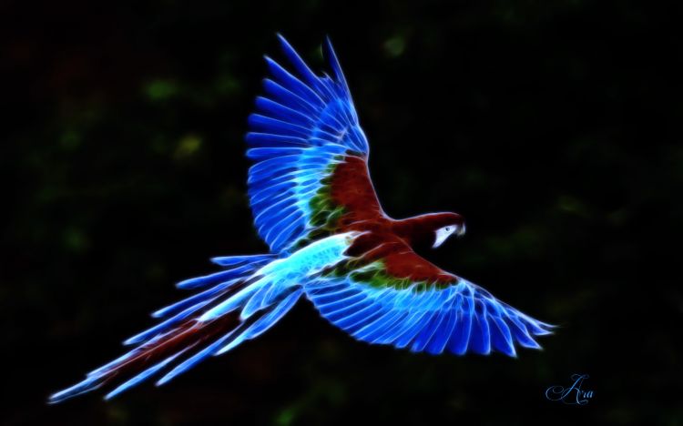 Wallpapers Animals Birds - Parrots ara fractalius