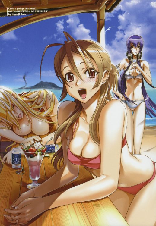 Fonds d'cran Manga High School of the dead Wallpaper N304214