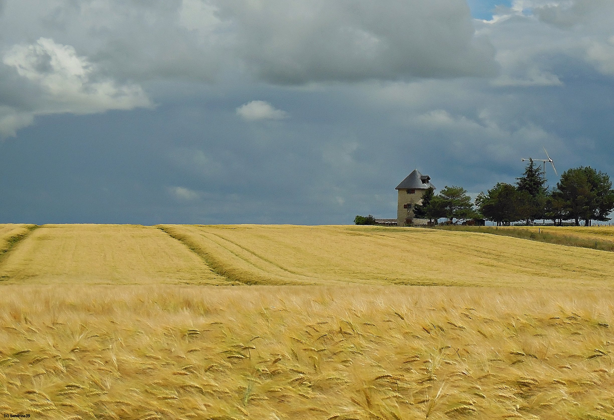 Fonds d'cran Nature Champs - Prairies Champs de bl et moulin