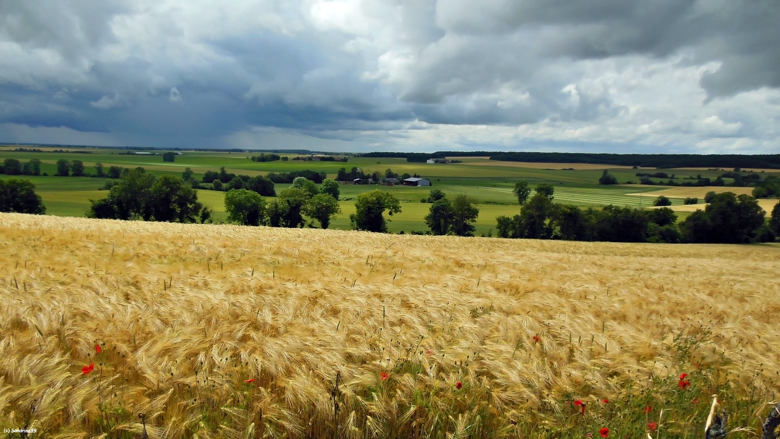 Wallpapers Nature Fields Paysage de Campagne Berrichonne 