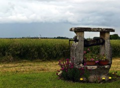  Nature Vieux puits