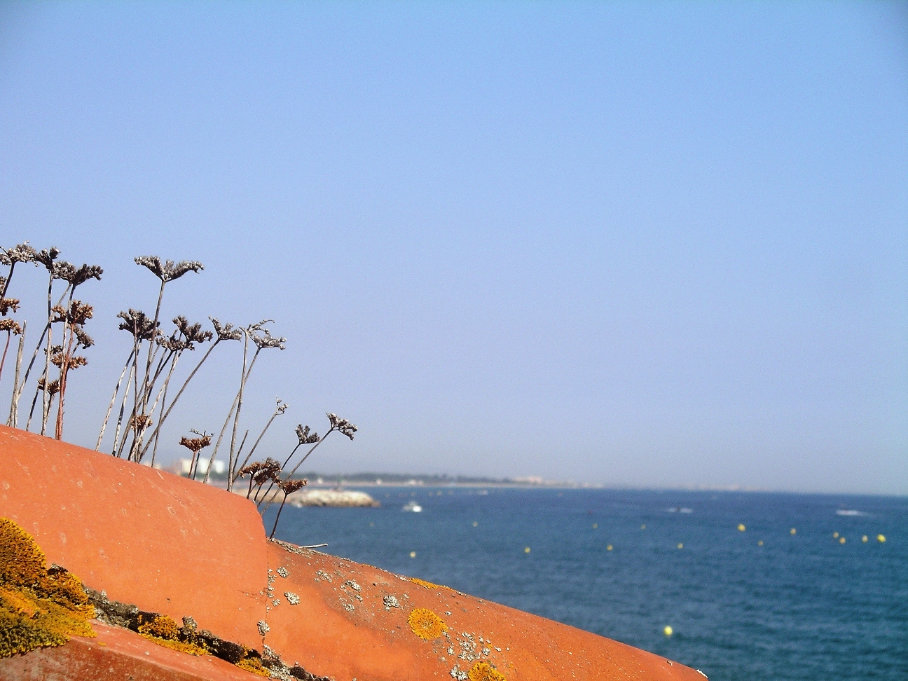 Fonds d'cran Nature Mers - Ocans - Plages Mer Du Sud