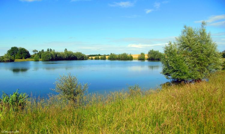 Fonds d'cran Nature Lacs - Etangs Etang de Pilsac