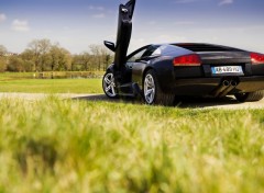  Cars Murcielago