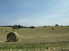  Nature la campagne