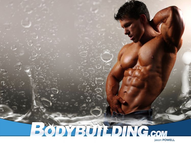 Wallpapers Sports - Leisures Body Building Wallpaper N304552