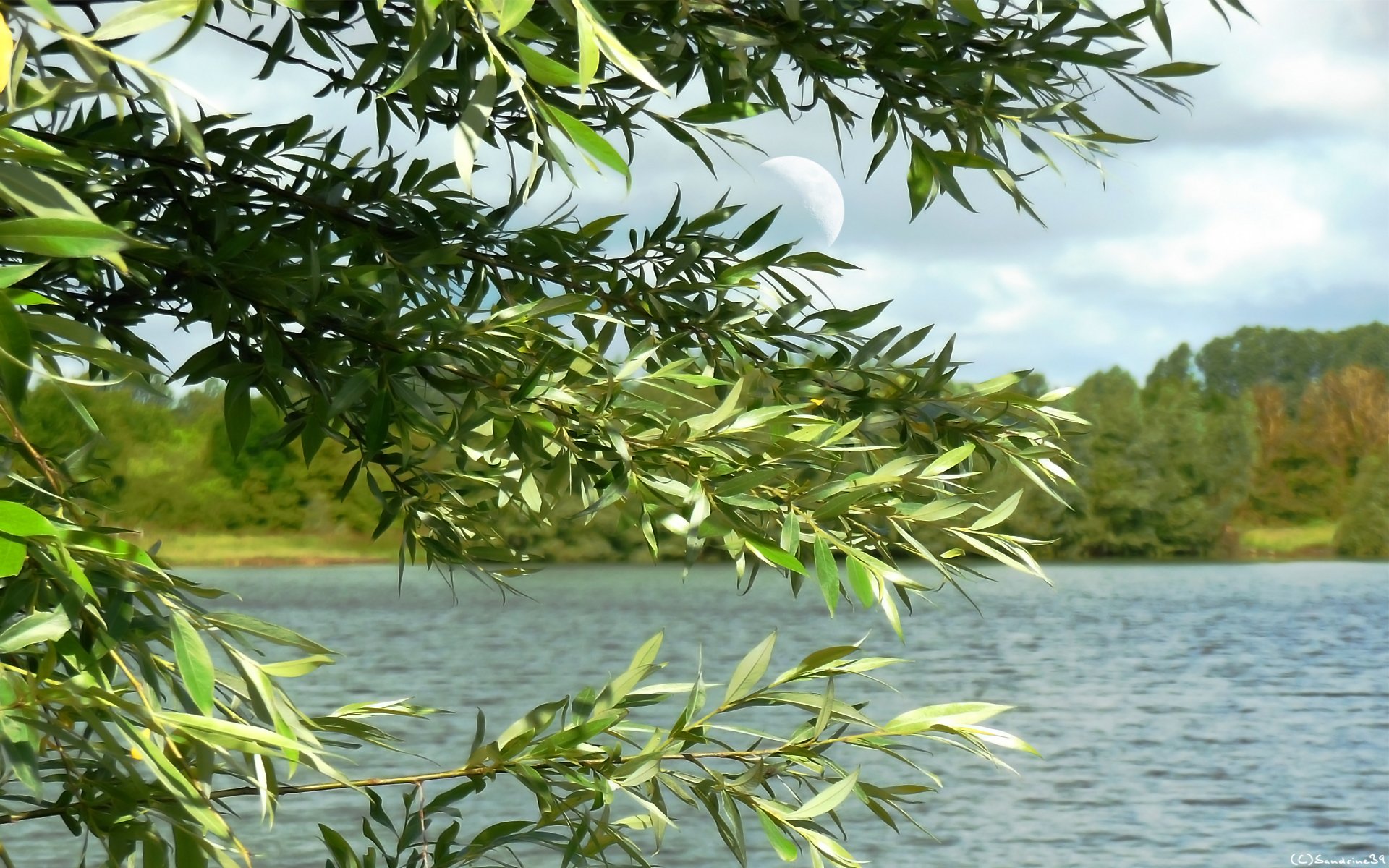 Fonds d'cran Nature Lacs - Etangs Eau dormante