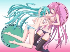 Fonds d'cran Erotic Art Hatsune Miku & Megurine Luka