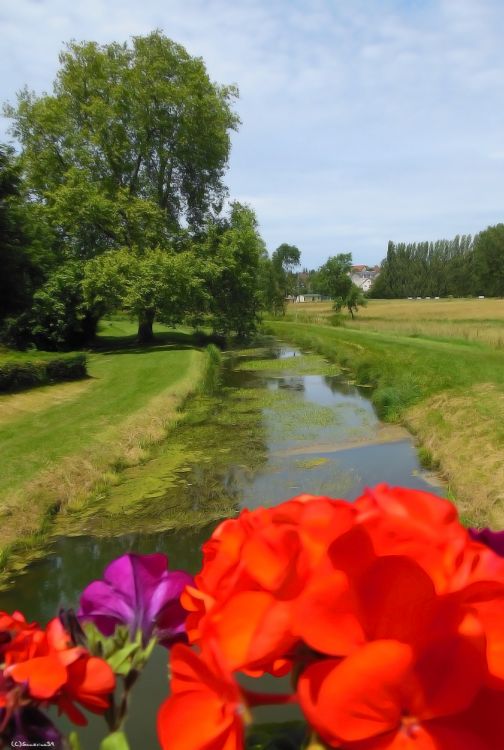 Wallpapers Nature Landscapes Promenade sur le canal du Berry