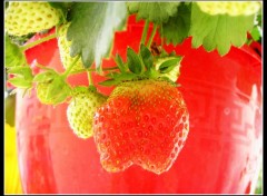  Nature Fraises miam