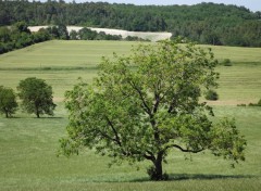  Nature la campagne