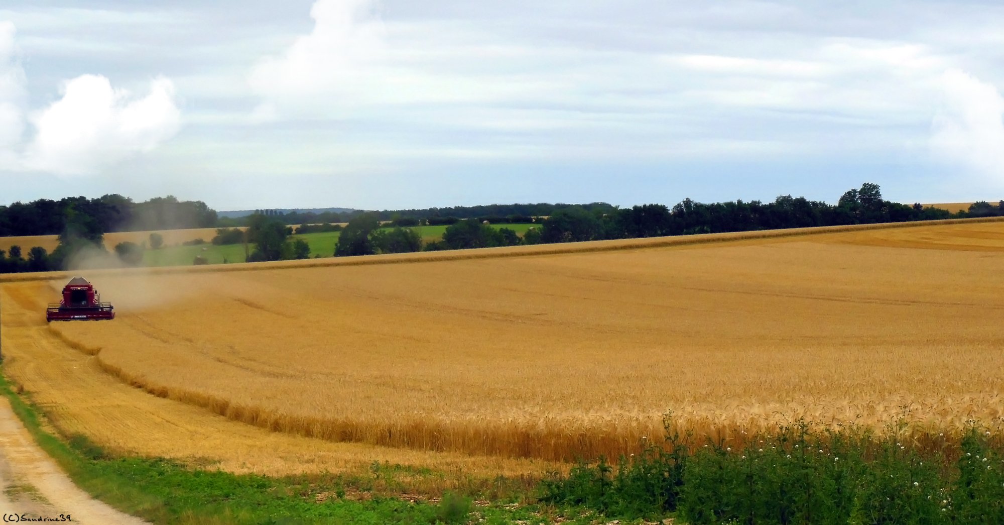 Fonds d'cran Nature Moisson Dbut des moissons 