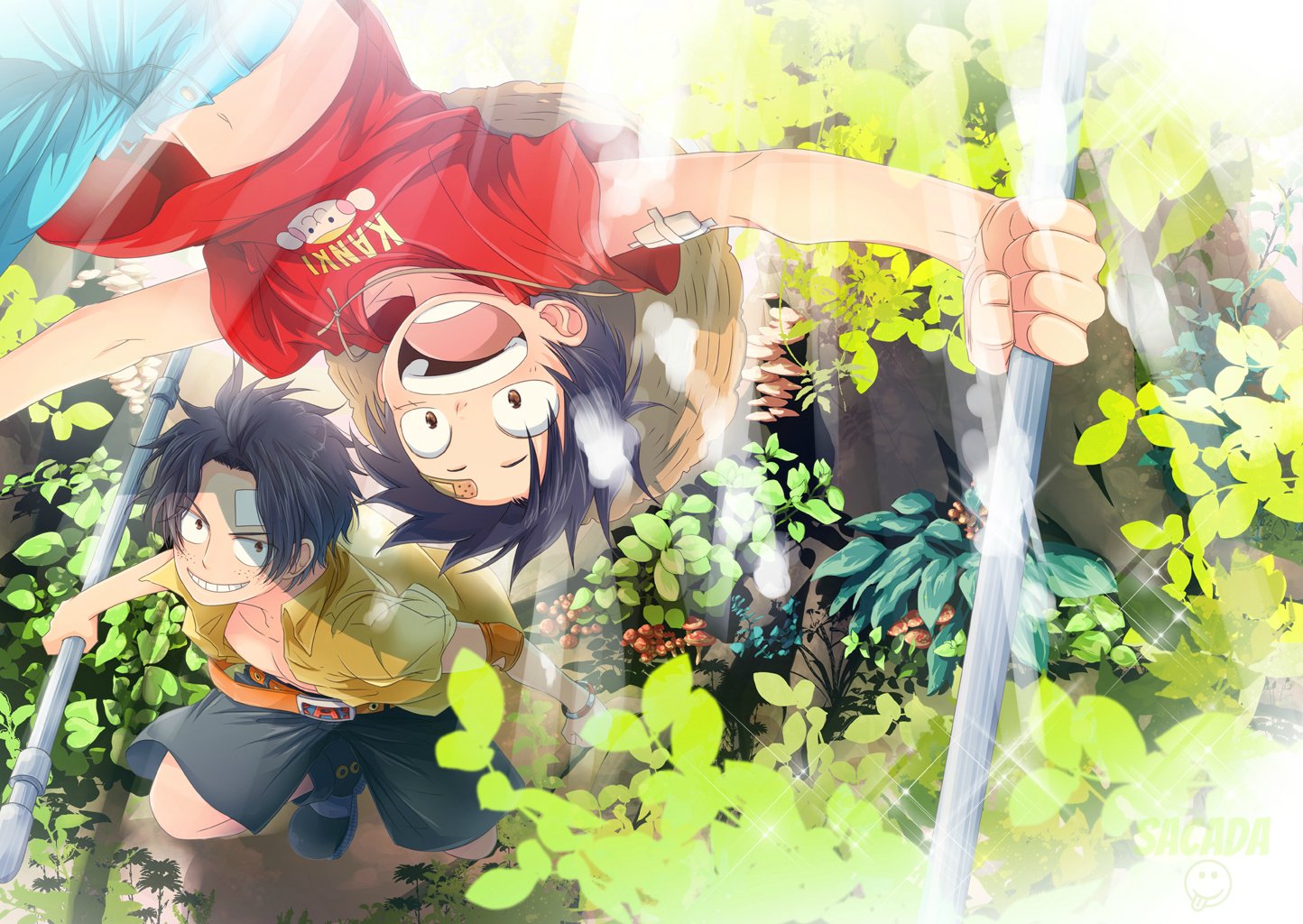 Wallpapers Manga One Piece ace et luffy