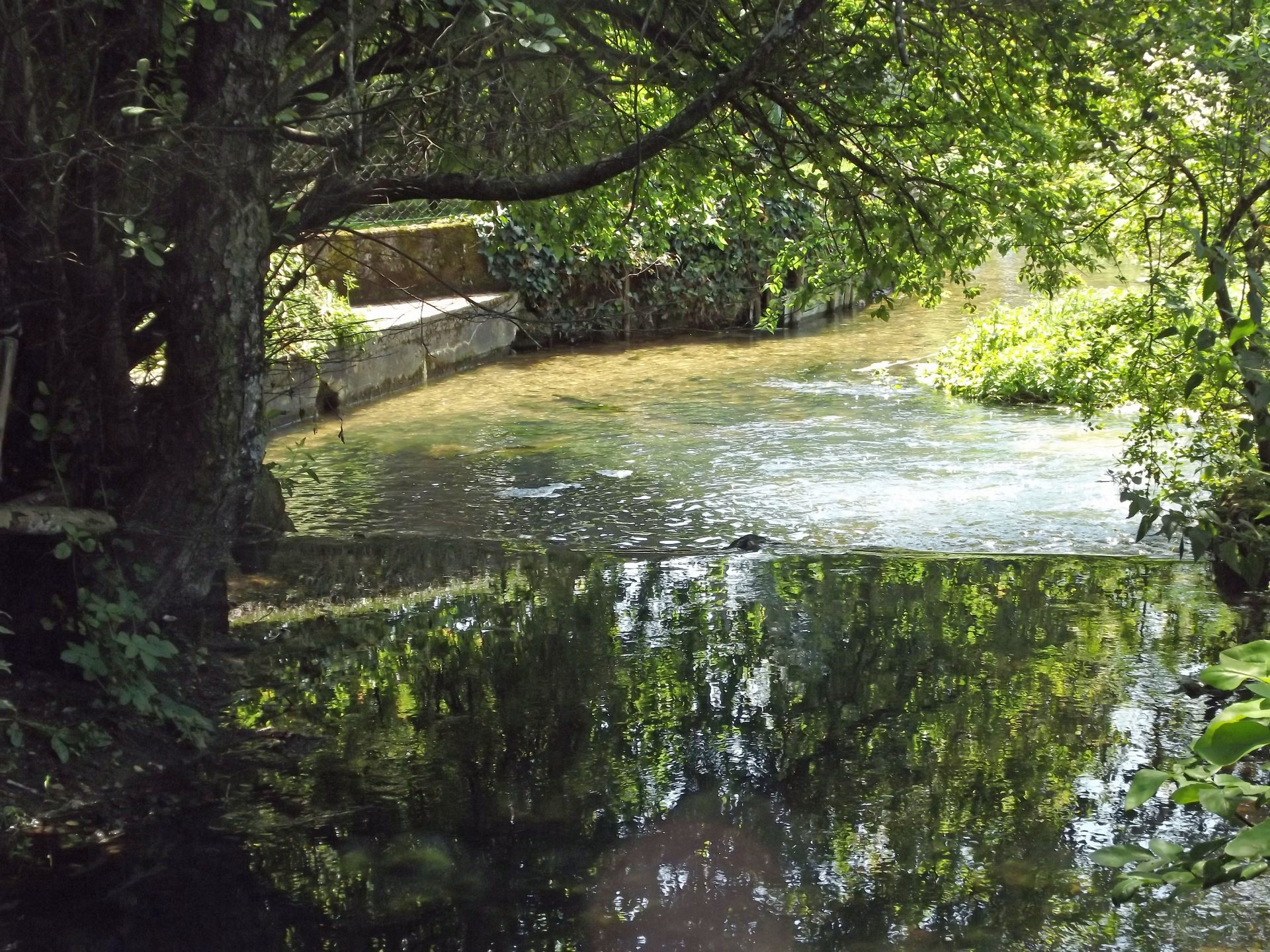 Fonds d'cran Nature Fleuves - Rivires - Torrents ruisseau et reflet