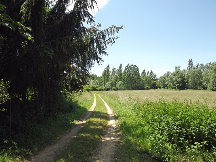 Fonds d'cran Nature Campagne chemin blanc de campagne