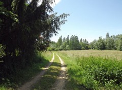  Nature chemin blanc de campagne