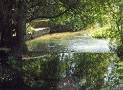  Nature ruisseau et reflet