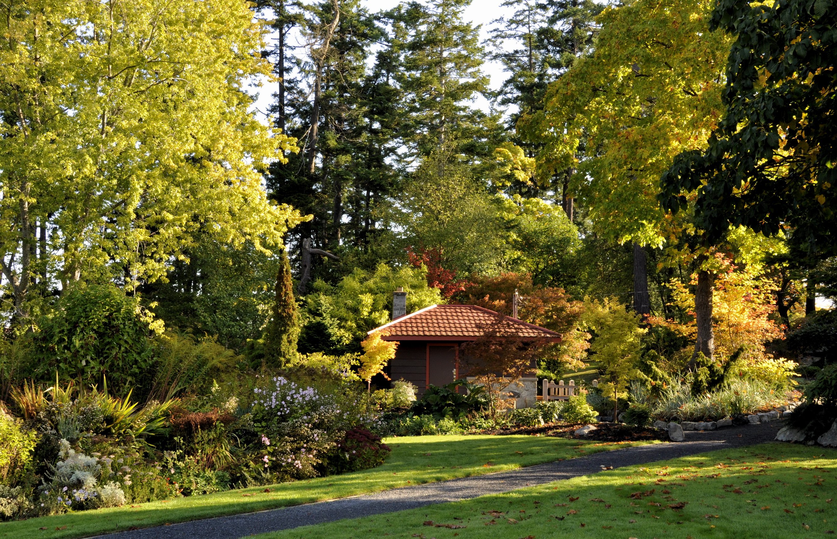 Fonds d'cran Nature Parcs - Jardins Petite maison au bord de la foret