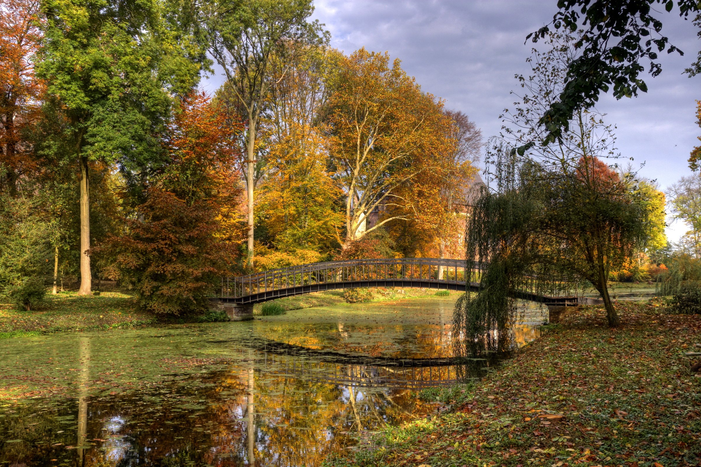 Wallpapers Nature Trees - Forests Pont d'automne