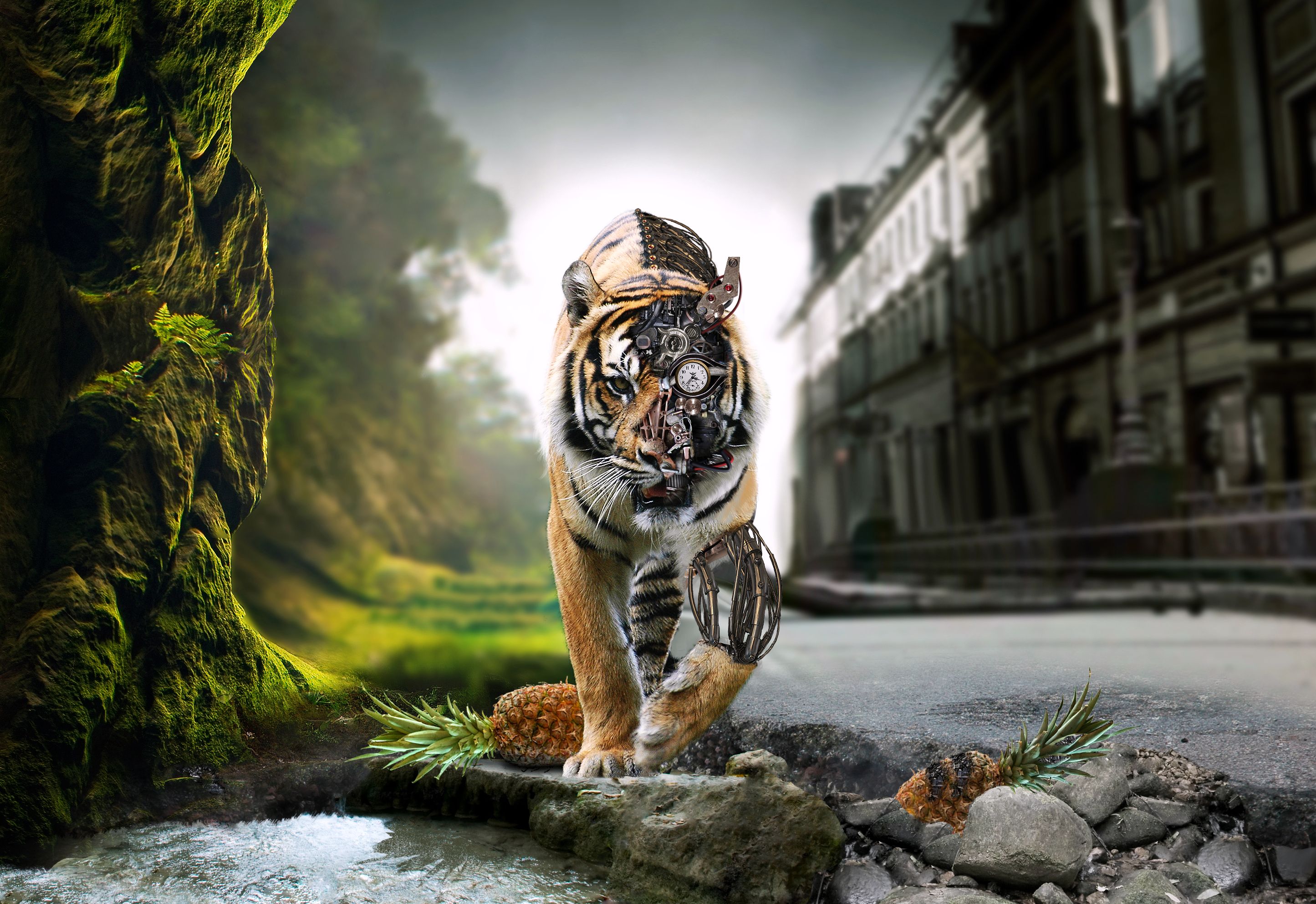 Wallpapers Digital Art Animals Tigre etrange