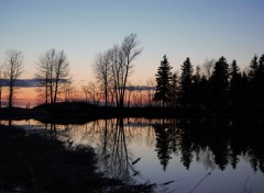  Nature reflet dans l'eau au coucher du soleil