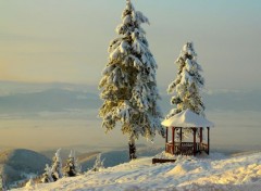  Nature Kiosque sous la neige