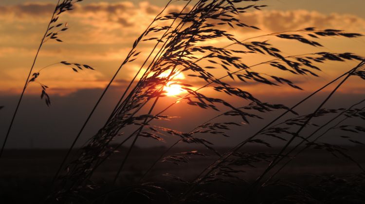 Fonds d'cran Nature Couchers et levers de Soleil Campagne