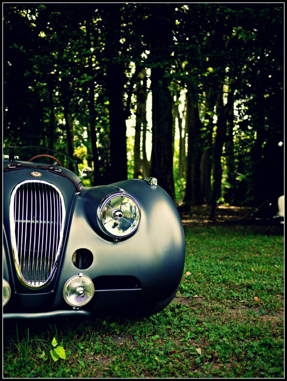 Wallpapers Cars Jaguar Jaguar XK 120 (1951)