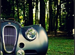  Voitures Jaguar XK 120 (1951)