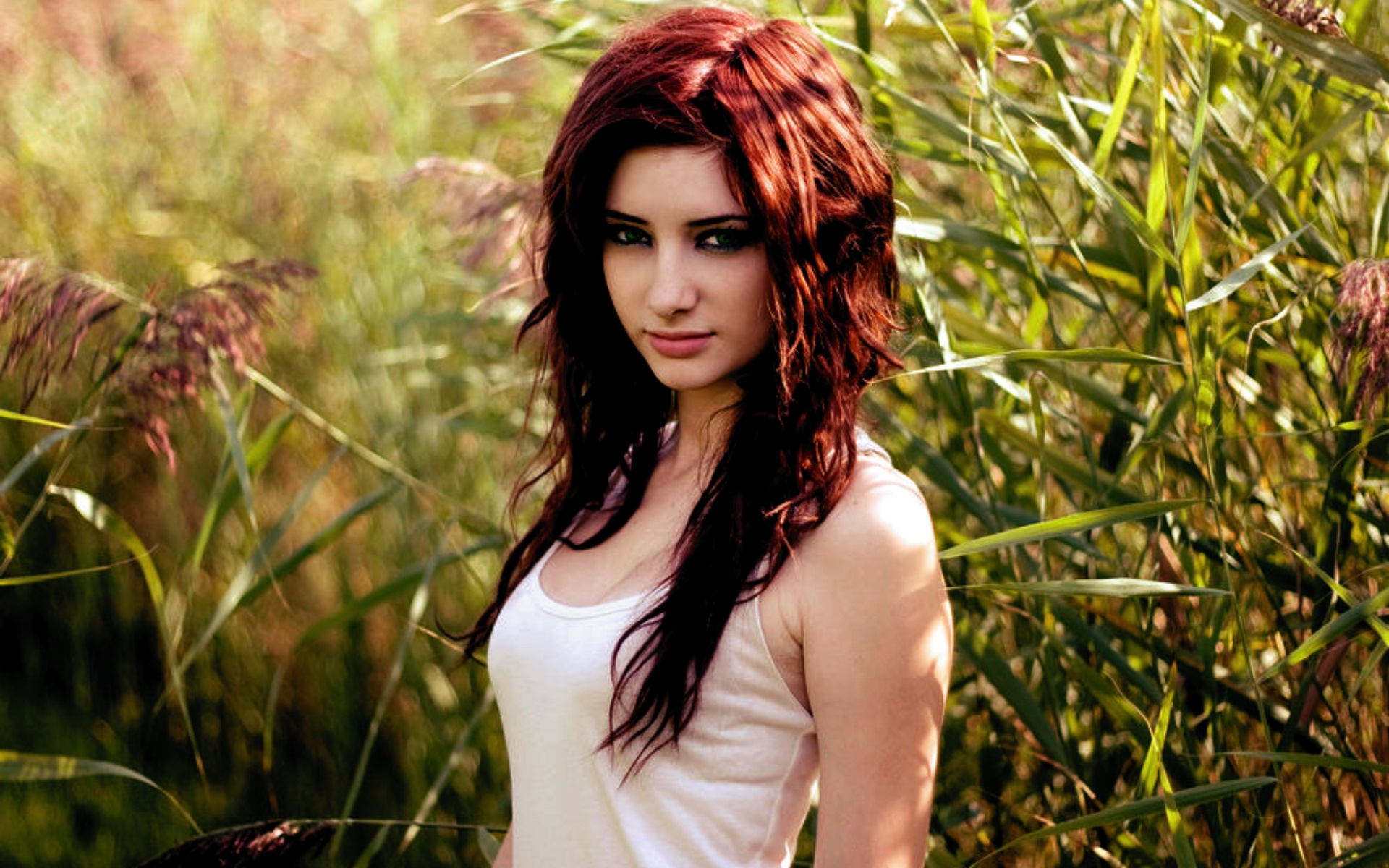 Fonds d'cran Clbrits Femme Susan Coffey  