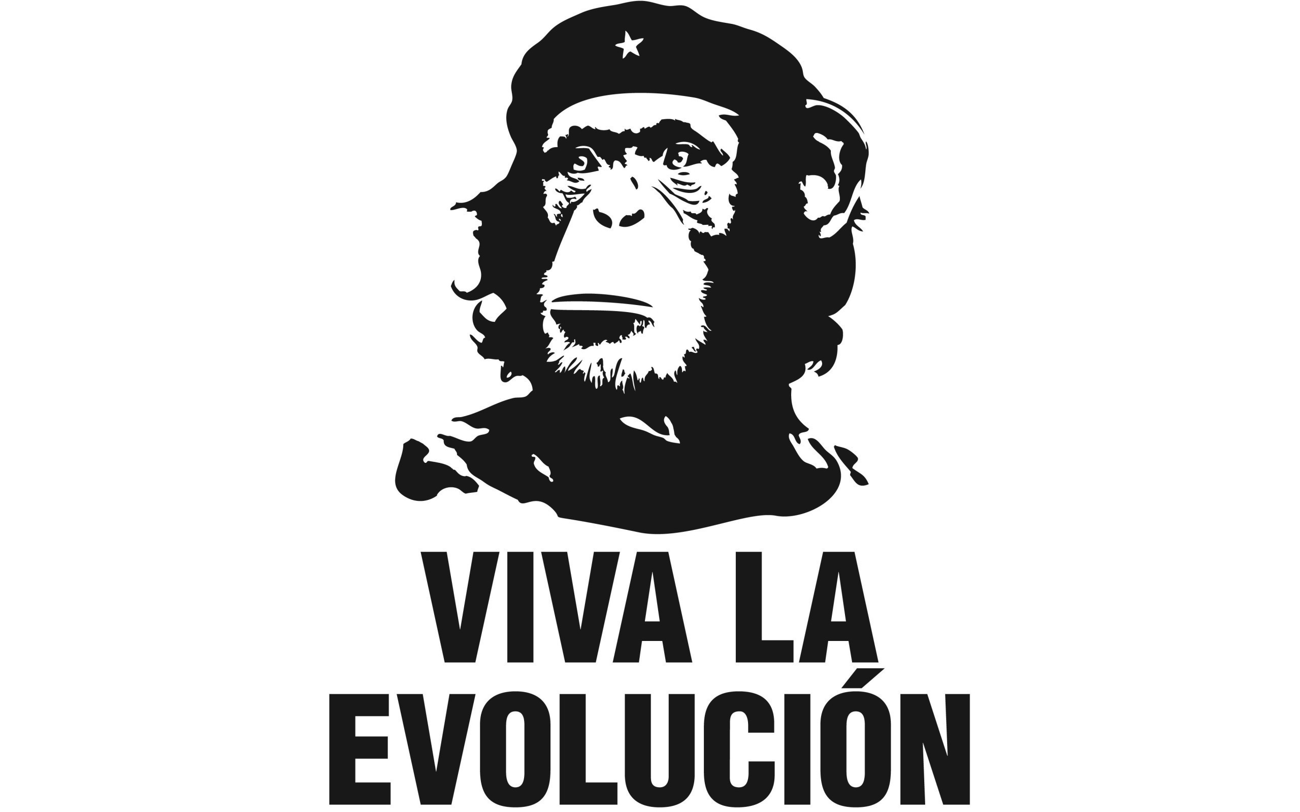 Fonds d'cran Art - Numrique Humanit viva la evolucion