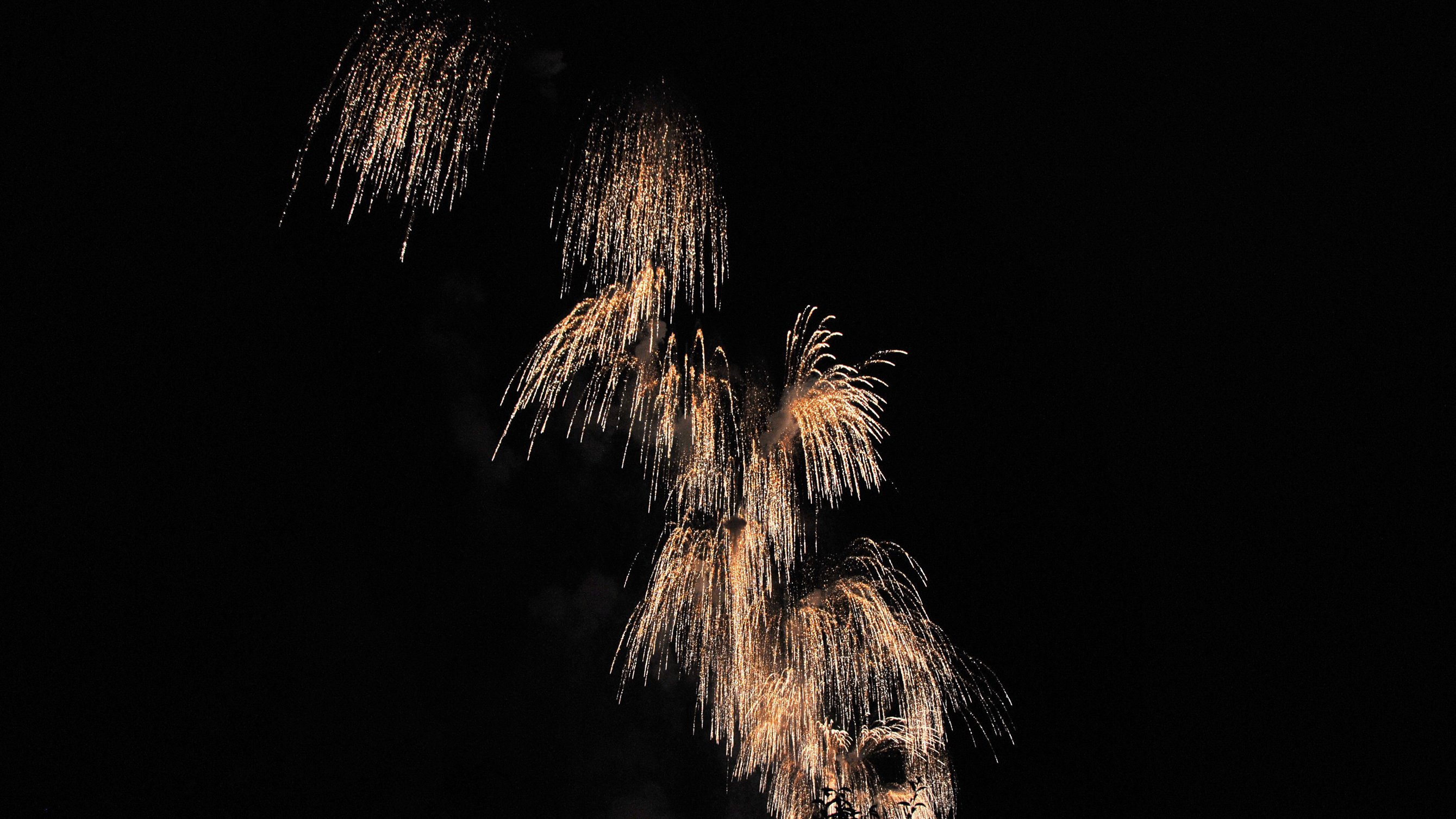 Fonds d'cran Hommes - Evnements Feux d'Artifice Feux d'artifices