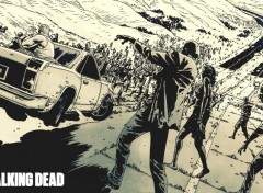  Comics et BDs Walking Dead