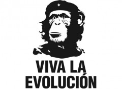  Art - Numrique viva la evolucion