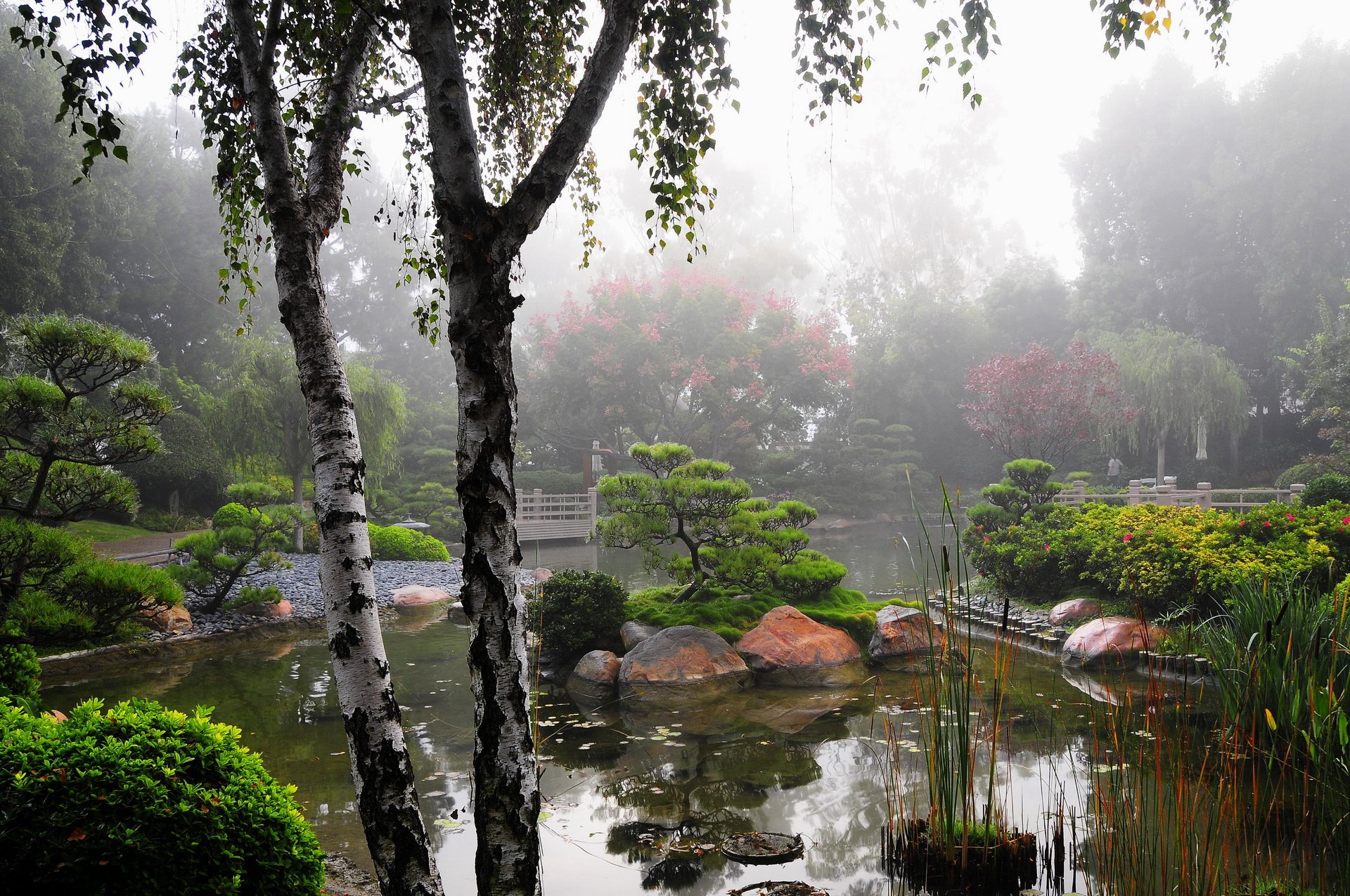 Fonds d'cran Nature Parcs - Jardins Jardin Asiatique