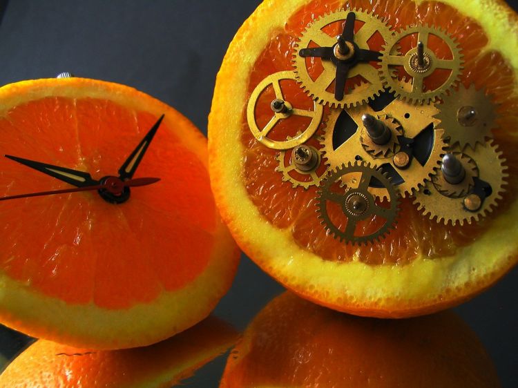 Wallpapers Nature Fruits L'Orange Prsse