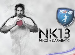  Sports - Leisures Nikola Karabatic