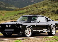  Cars Shelby