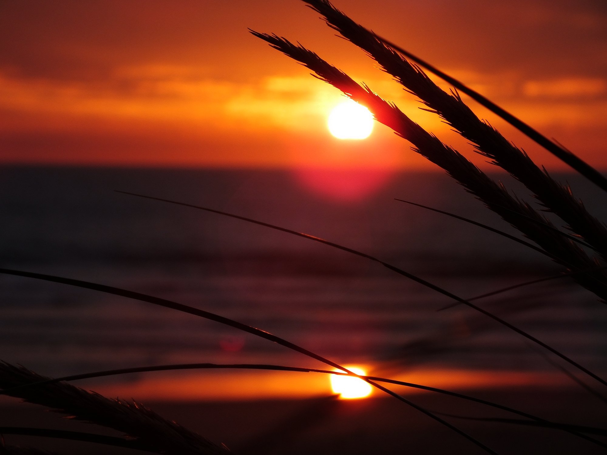 Fonds d'cran Nature Couchers et levers de Soleil couch de soleil 6